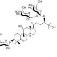 罗汉果皂苷Ⅲe88901-37-5折扣