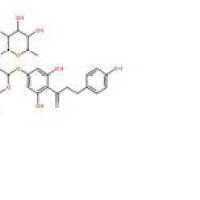 柚皮苷二氢查尔酮18916-17-1厂家