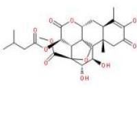 鸦胆子素A25514-31-2价格