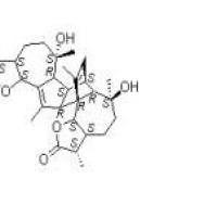 洋艾素1362-42-1厂家