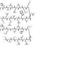 醋酸特立帕肽52232-67-4厂家