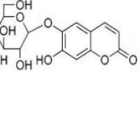 秦皮甲素531-75-9价格