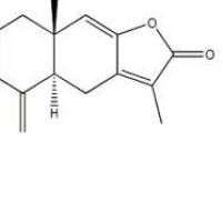 白术内酯Ⅰ73069-13-3厂家