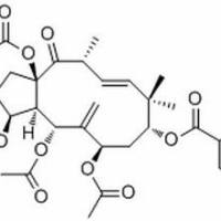 244277-75-6/	 3,5,7,15-Tetraacetoxy-9-nicotinoyloxy-6(17),11-jatrophadien-14-one ,	分析标准品,HPLC≥98%