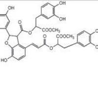 丹酚酸B二甲酯875313-64-7价格