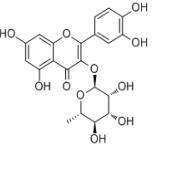 槲皮苷522-12-3折扣