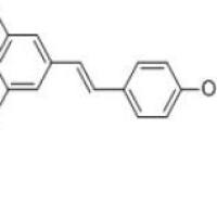 白藜芦醇501-36-0厂家