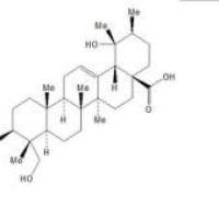 毛冬青酸、铁冬青酸折扣