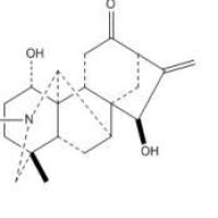 宋果灵509-24-0厂家