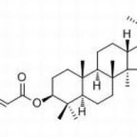 171438-55-4/Dammarenediol II 3-O-caffeate ,	分析标准品,HPLC≥98%