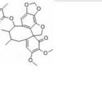 异型南五味子丁素140369-76-2价格