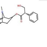 莨菪碱101-31-5厂家