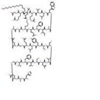 利拉鲁肽204656-20-2厂家