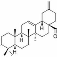 104777-61-9/3-Epiakebonoic acid ,	分析标准品,HPLC≥98%