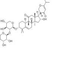 苦玄参苷IA97230-47-2价格