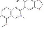 白屈菜红碱34316-15-9价格