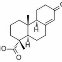 63976-69-2/13-Oxopodocarp-8(14)-en-18-oic acid ,	分析标准品,HPLC≥98%