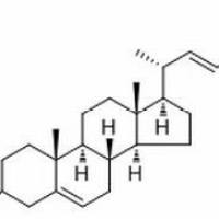 28594-00-5/	 22-Dehydroclerosteryl acetate ,分析标准品,HPLC≥98%