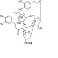 管花苷A112516-05-9折扣