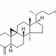 268214-52-4/Coronalolic acid ,分析标准品,HPLC≥98%