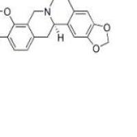 四氢小檗碱522-97-4厂家