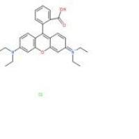 罗丹明b81-88-9价格