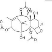 13-乙酰基-9-羟基巴卡丁 III142203-65-4折扣