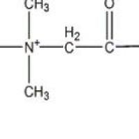 甜菜碱107-43-7价格