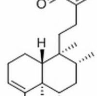 771493-42-6/	 6α-Hydroxycleroda-3,13-dien-16,15-olid-18-oic acid ,	分析标准品,HPLC≥98%