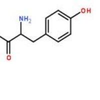L-酪氨酸60-18-4价格