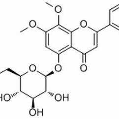 113963-39-6/ Andrographidine C ,分析标准品,HPLC≥95%