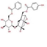 苯甲酰氧化芍药苷72896-40-3价格