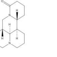 槐定碱6882-68-4厂家