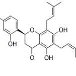 苦参醇E99119-72-9厂家