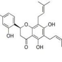 苦参醇E99119-72-9厂家