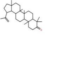 羽扇烯酮1617-70-5折扣