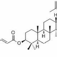 144424-80-6/	 3-O-(E)-p-Coumaroylbetulin ,分析标准品,HPLC≥98%