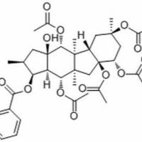 210108-91-1/ 5,8,9,10,14-Pentaacetoxy-3-benzoyloxy-15-hydroxypepluane , 分析标准品,HPLC≥98%