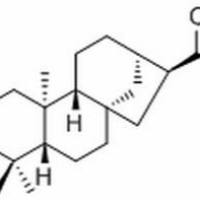 151561-88-5/	 ent-3-Oxokauran-17-oic acid ,	分析标准品,HPLC≥98%