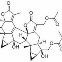 1207185-03-2/	 Sarcandrolide D /	分析标准品,HPLC≥98%