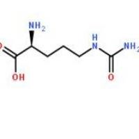 瓜氨酸372-75-8厂家
