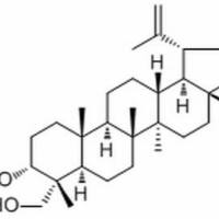 32451-85-7/	 Lup-20(29)-ene-3α,23-diol ,	分析标准品,HPLC≥98%