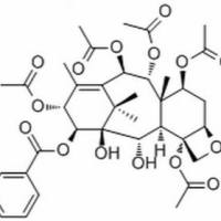705973-69-9/ 14β-Benzoyloxy-2-deacetylbaccatin VI , 分析标准品,HPLC≥98%
