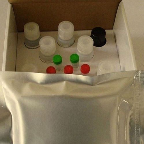 MMSAMelisa试剂盒,人黑色素瘤转移表面黏附分子