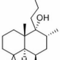 61263-49-8/	 牡荆内酯 ,	分析标准品,HPLC≥97%