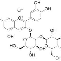 18376-31-3.氯化矢车菊素-3-O-槐糖苷 ,分析标准品,HPLC≥98%