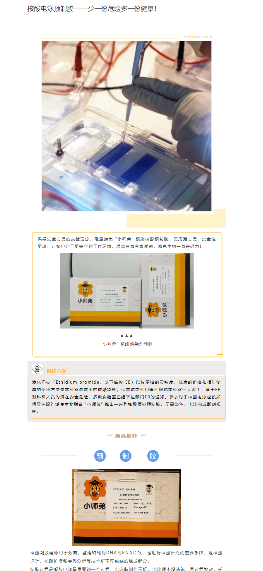 核酸电泳预制胶——少一份危险多一份健康！