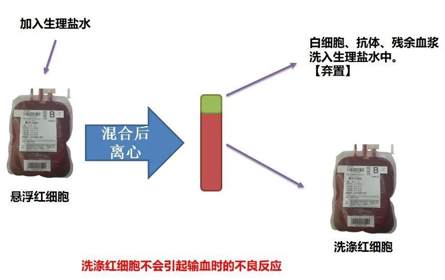 洗涤红细胞制作流程60hettich rotosilenta630 rs 离心机离心腔-没