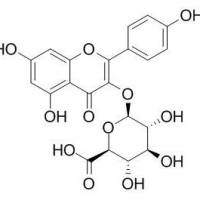 22688-78-4/奈酚葡萄糖醛酸苷 .	分析标准品,HPLC≥98%