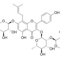118544-18-6/	 宝藿苷V ,	分析标准品,HPLC≥98%
